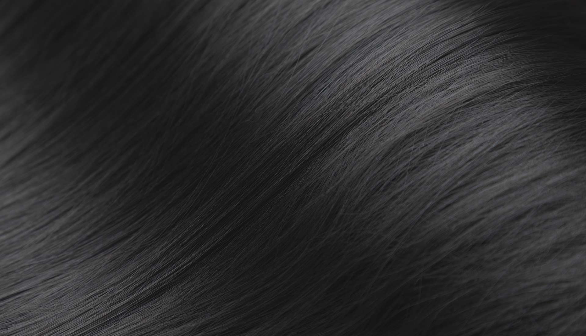 REDS Hair Salon Black Hair Background