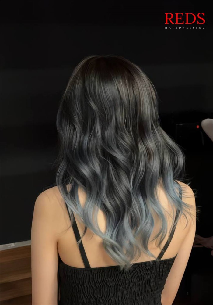 REDS Hair Salon Client Hair service - silver grey black Highlight