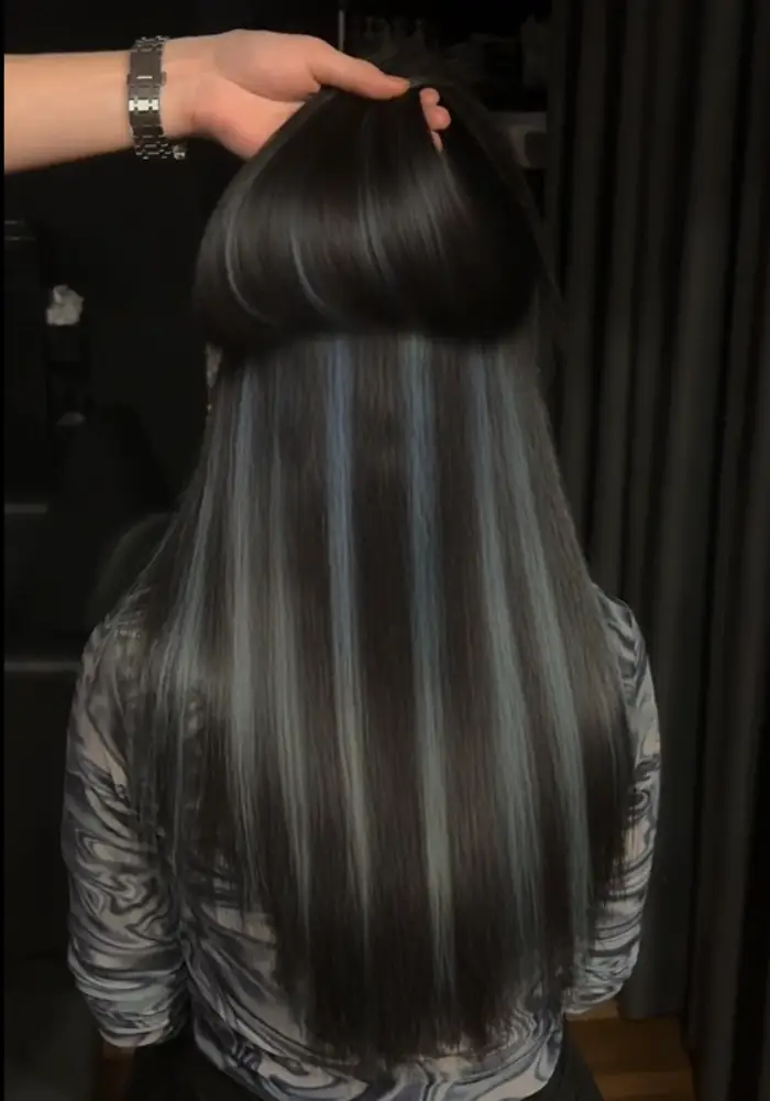 REDS Hair Salon Client Hair - Highlight Blue